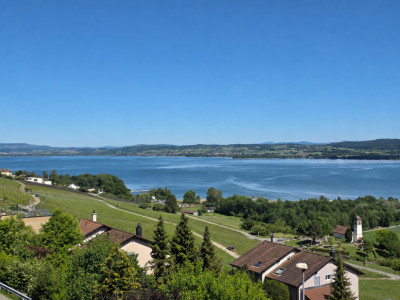 Attique 4.5 pièces avec vue imprenable sur le lac image 1