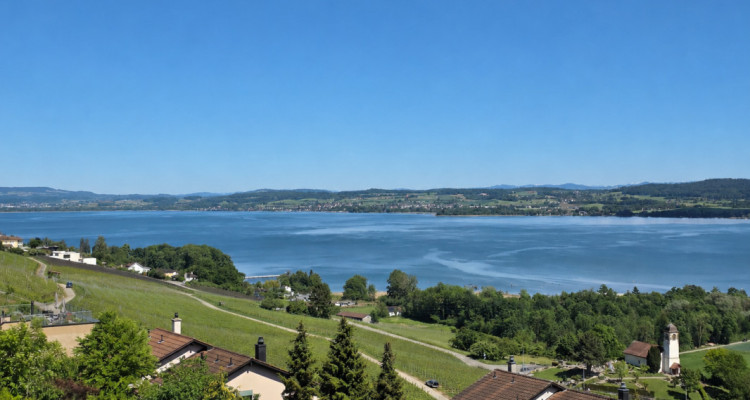 Attique 4.5 pièces avec vue imprenable sur le lac image 1