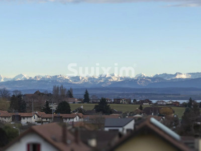Maison mitoyenne 7 pièces avec jardin et vue sur les Alpes image 8