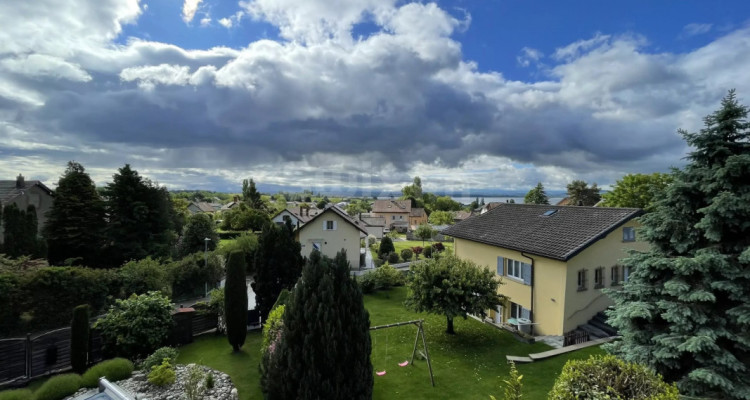 Maison mitoyenne 7 pièces avec jardin, vue sur les Alpes et le lac image 5
