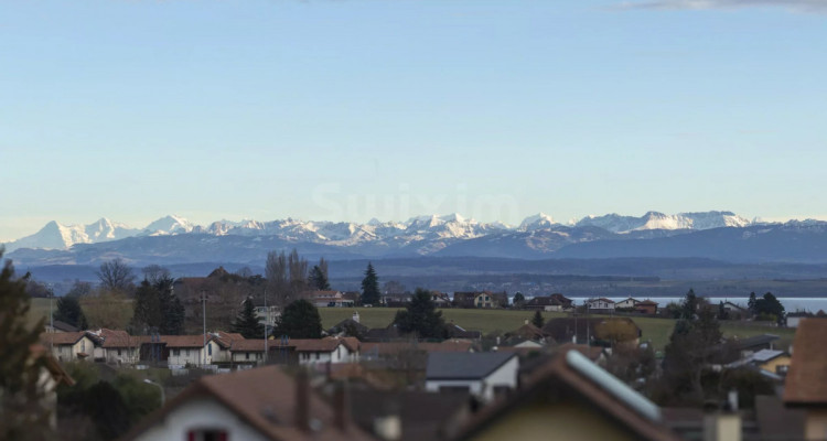 Maison mitoyenne 7 pièces avec jardin, vue sur les Alpes et le lac image 8