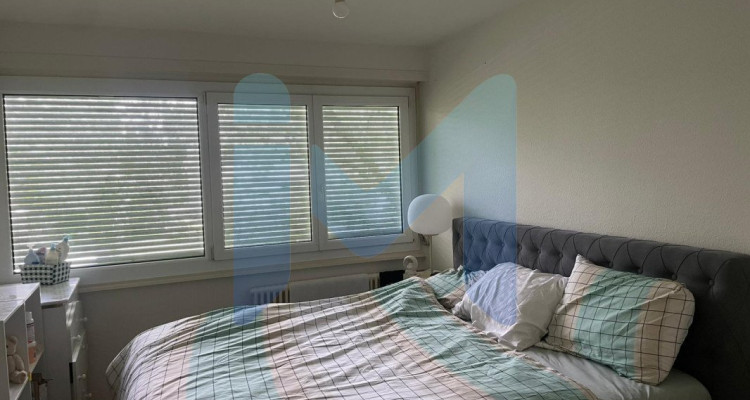 Appartement de 3 pièces au 2ème étage situé à Onex 1213 image 2