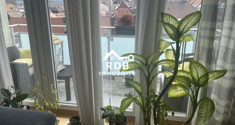 2,5 pièces lumineux avec vue dégagée – disponible immédiatement image 2