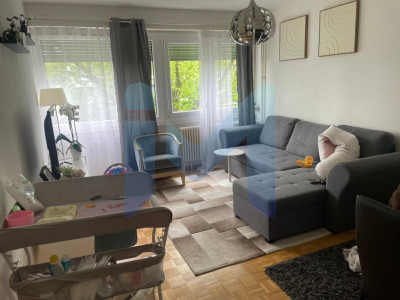 Appartement de 3 pièces au 2ème étage situé à Onex 1213 image 1