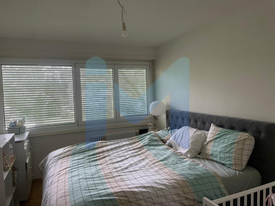 Appartement de 3 pièces au 2ème étage situé à Onex 1213 image 2