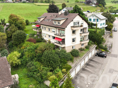 Mehrfamilienhaus mit grossem Grundstück und Entwicklungspotenzial image 1