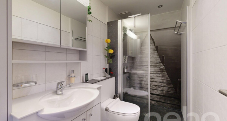 5,5-Zimmer-Haus, ein Bijou an unverbaubarer Lage über dem Bodensee image 10
