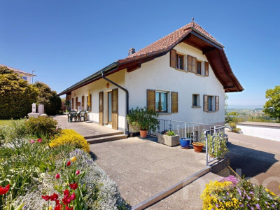 Grosszügiges Zuhause mit Werkstatt/Atelier und sonnigem Garten image 12