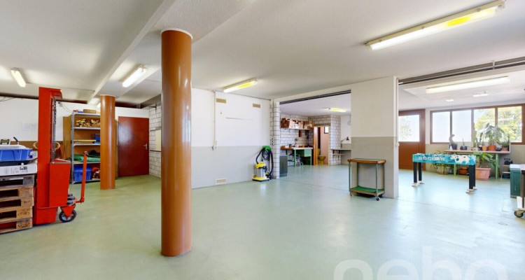 Grosszügiges Zuhause mit Werkstatt/Atelier und sonnigem Garten image 10