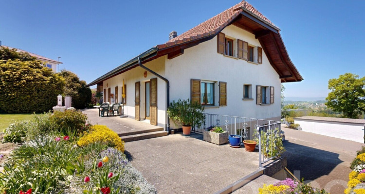 Grosszügiges Zuhause mit Werkstatt/Atelier und sonnigem Garten image 12