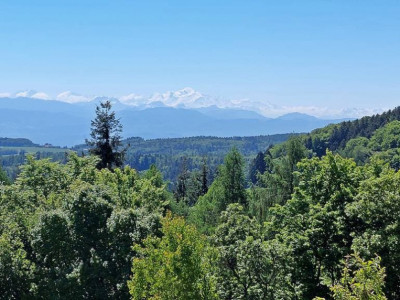 Location - Spacieuse villa contigüe au calme et avec vue  image 7