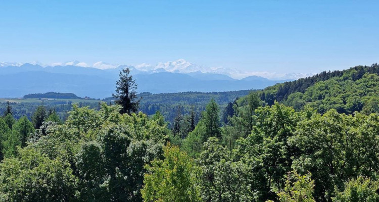 Location - Spacieuse villa contigüe au calme et avec vue  image 7