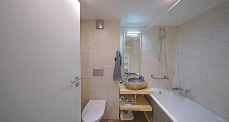 Location - Spacieuse villa contigüe au calme et avec vue  image 13