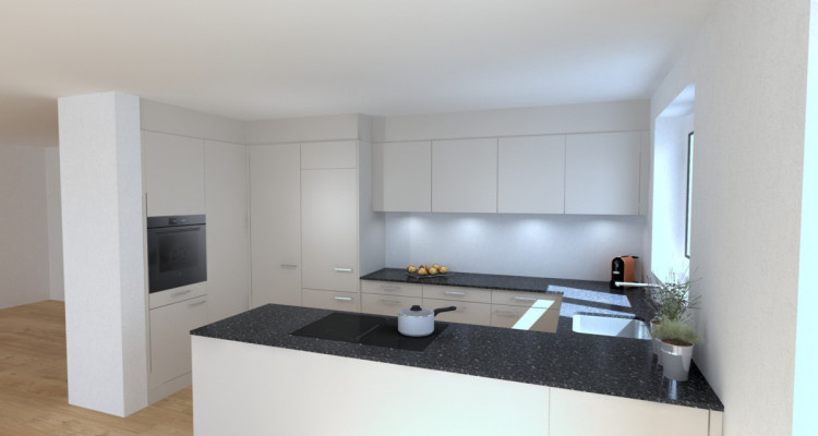 Baulandparzelle mit 5-Zimmer Einfamilienhaus-Vorprojekt im Grünen image 13