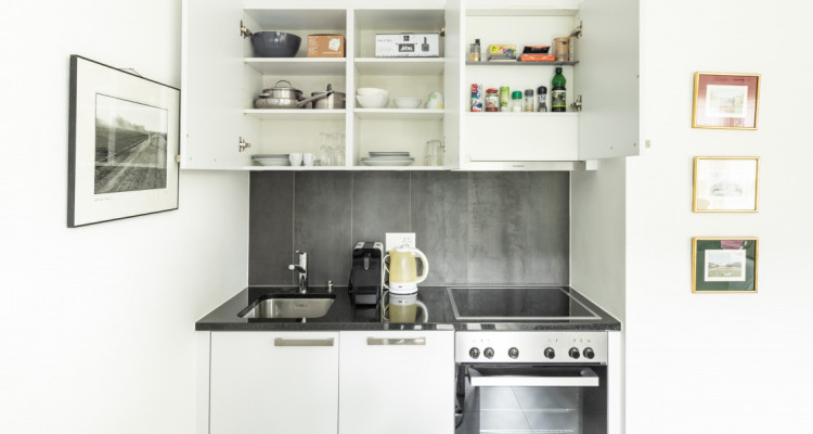 Bel Appartement 1.5 P Entièrement meublé et équipé à 200 m du Lac image 3