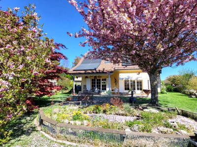 Villa individuelle de 5.5 pièces au centre du village image 4