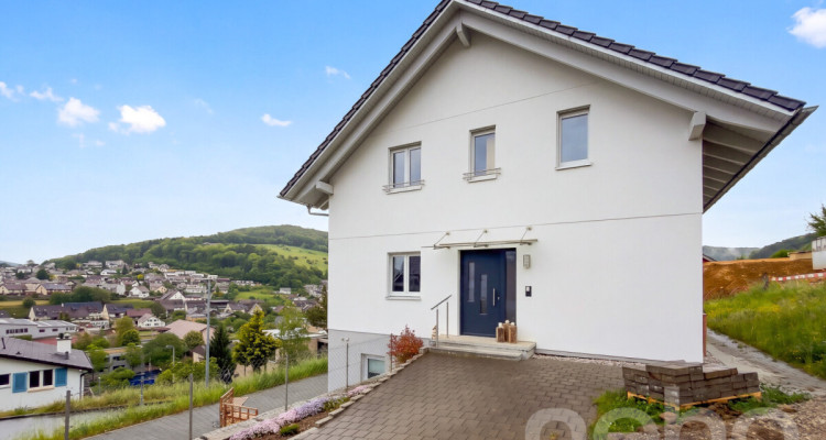 Modernes Zweifamilienhaus mit Weitsicht und hohem Komfort image 1
