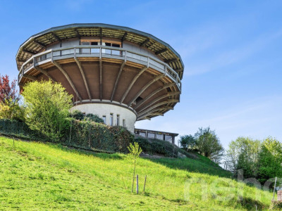 Wohnen im Rundhus. Architektur, Natur und Ruhe in Neuheim image 3