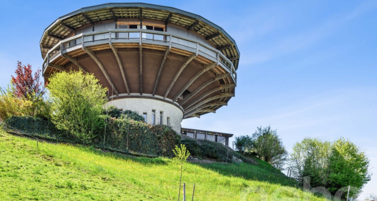 Wohnen im Rundhus. Architektur, Natur und Ruhe in Neuheim image 3