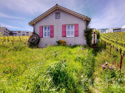 Maisonette à rénover à Boudry image 3