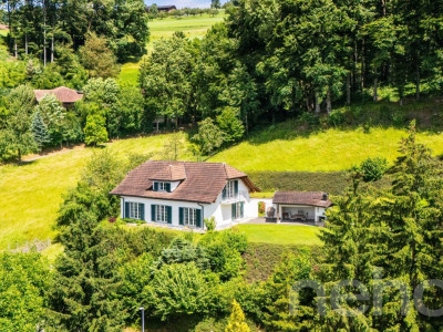 Einfamilienhaus mit Weitsicht, Privatsphäre und Traumgarten image 1