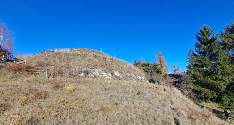 À vendre – Terrain à Nax (Pelleivro) – 1377 m² – Zone chalet image 4