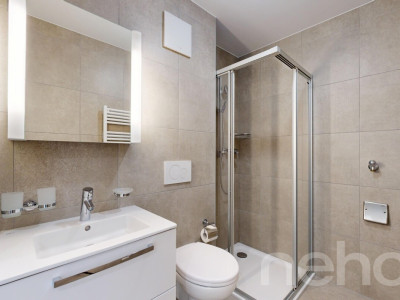 Appartement 2.5 56m² avec Véranda de 22m² image 11