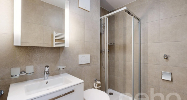 Appartement 2.5 56m² avec Véranda de 22m² image 11