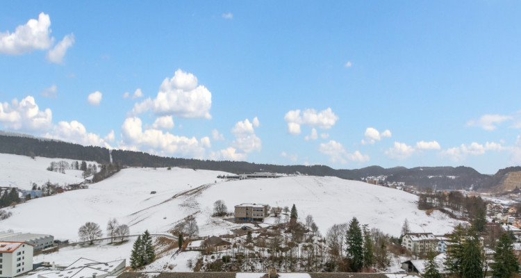 Coup de cœur au Locle : Espace, Lumière et Vue Panoramique image 4