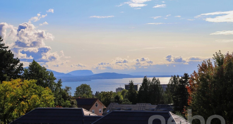 Spacieux duplex avec vue exceptionnelle sur le lac image 10