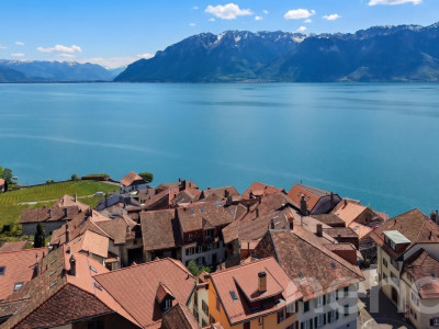 Maison vigneronne du XVII? rénovée ? Vue lac & Alpes au c?ur de Rivaz image 2