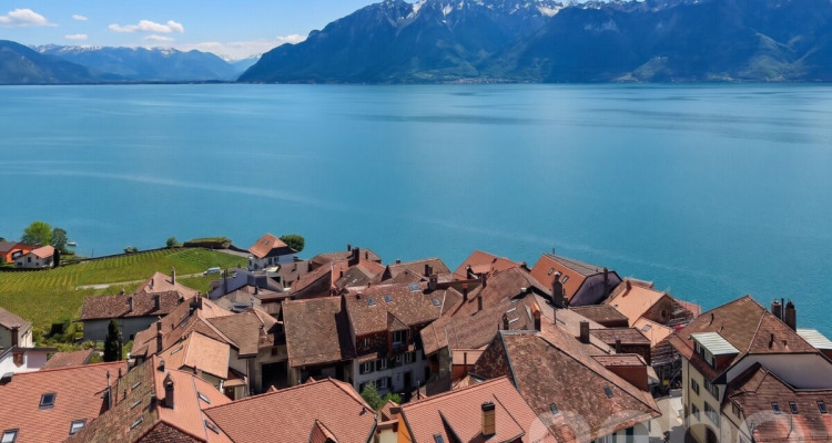 Maison vigneronne du XVII? rénovée ? Vue lac & Alpes au c?ur de Rivaz image 2