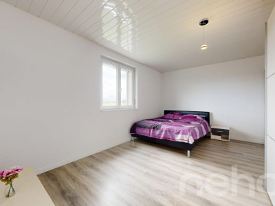 Magnifique maison familiale de 215 m² dans un cadre verdoyant à Bonfol image 8
