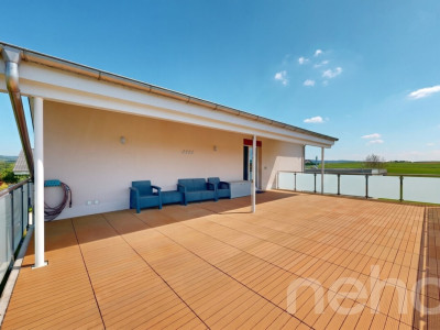 Magnifique maison familiale de 215 m² dans un cadre verdoyant à Bonfol image 9