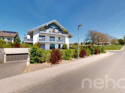 Bel appartement de 3,5 pces au c?ur de la verdure à St-Saphorin/Morges image 4