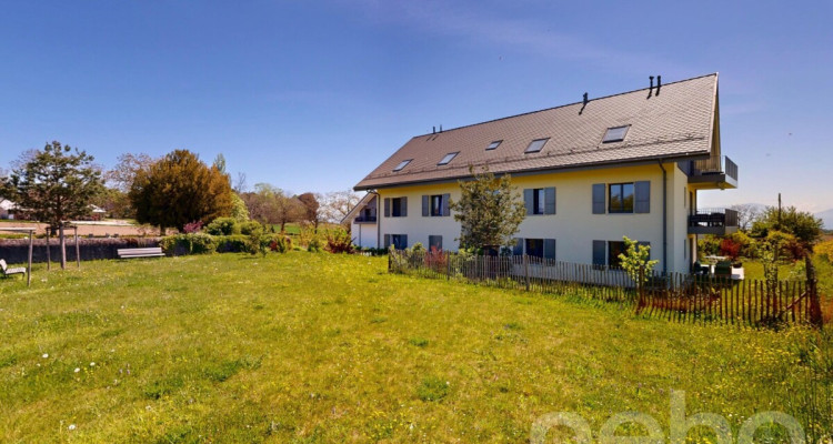 Bel appartement de 3,5 pces au c?ur de la verdure à St-Saphorin/Morges image 2