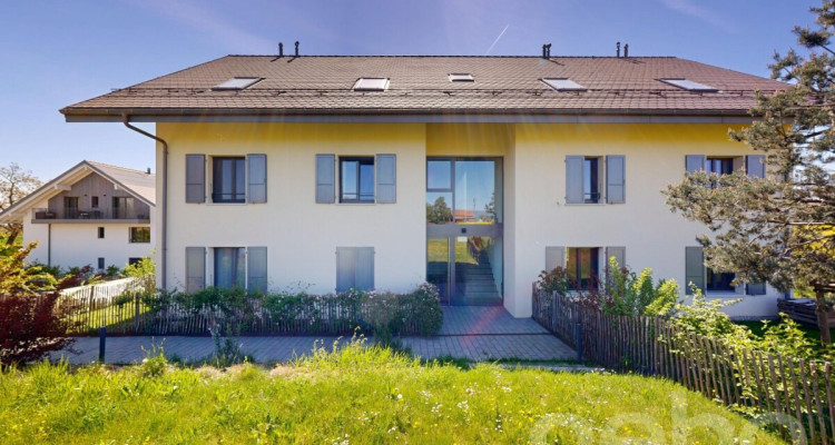 Bel appartement de 3,5 pces au c?ur de la verdure à St-Saphorin/Morges image 3