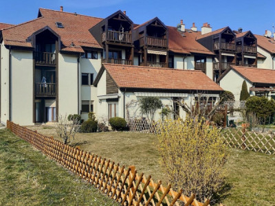 Magnifique duplex en attique en viager occupé sans rente image 3