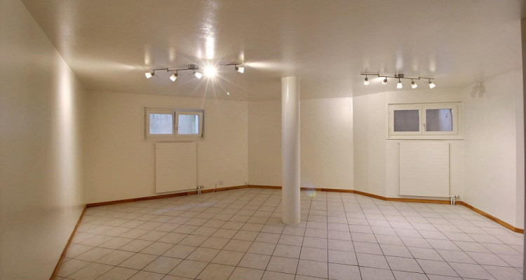 Lumineux rez-souplex, de 160 m2 avec terrasse et jardin image 6