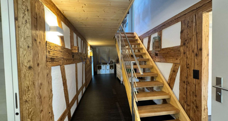 Altbaucharme trifft Moderne image 1