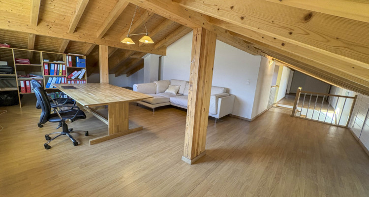 Ardon - Spacieuse villa avec 4 logements, idéale pour famille ou investisseur image 7