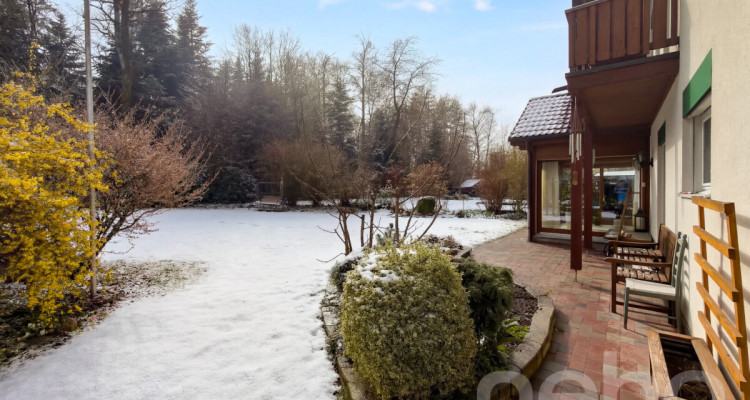 Lichtdurchflutetes Familienhaus mit Garten und direktem Waldzugang image 11