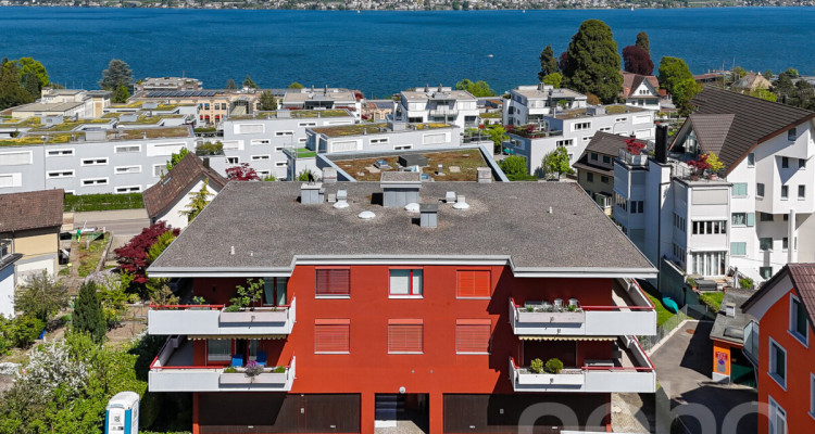 Panorama-Seesicht mit grosser Terrasse image 12