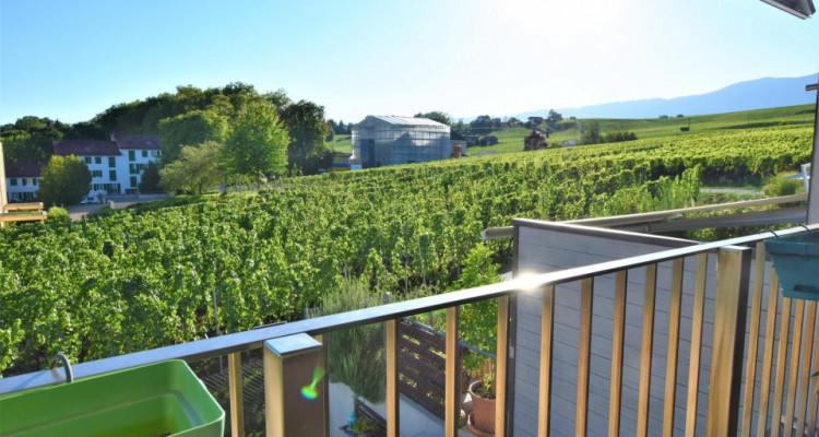 Bel appartement moderne de 5 P au coeur de Satigny. image 1