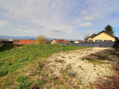 Grande maison en viager semi-occupé sans rente avec grand potentiel image 1