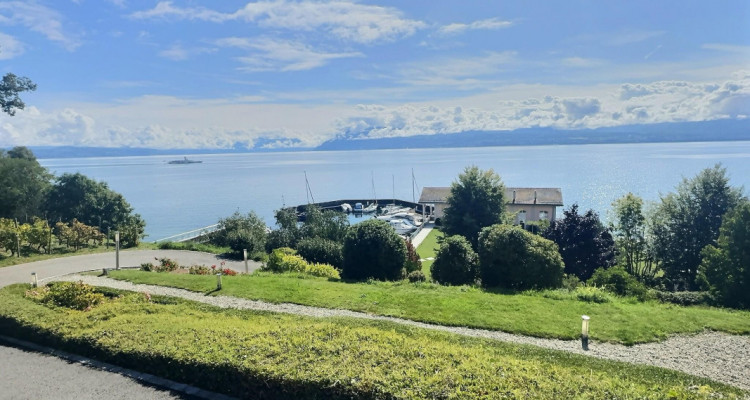 BIEN EXCEPTIONNEL!! Grand appartement en viager occupé sans rente. Vue Lac et Port privé. image 5