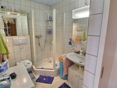 Grande maison familiale en viager occupé sans rente limité à 5 ans image 9