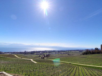 Magnifique maison en viager occupé sans rente avec splendide vue Lac image 5