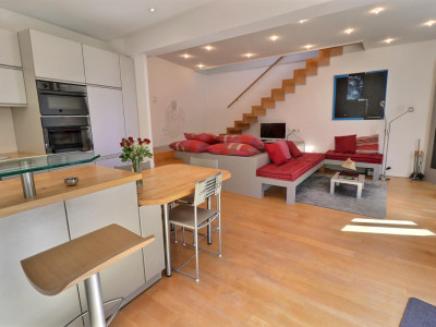 Magnifique maison en viager occupé sans rente avec splendide vue Lac image 8
