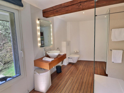 Magnifique maison en viager occupé sans rente avec splendide vue Lac image 11